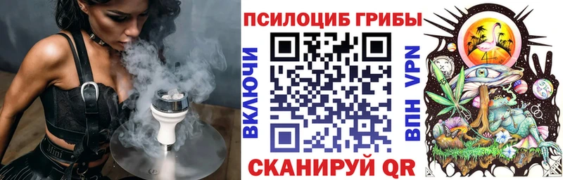 Псилоцибиновые грибы Cubensis  где купить наркотик  Лебедянь 